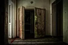 Проклятье психиатрической лечебницы.webp