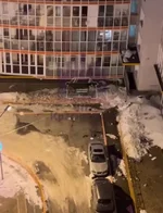 Живодёрка сбросила трёх питомцев с балкона на 14-м этаже.webp