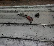 В Подмосковье 14-летний зацепер разбился насмерть после падения с электрички.webp