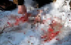 В Приморье тигр насмерть загрыз молодого охотника.webp