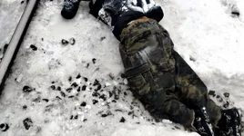 В Брянской области поезд насмерть сбил парня тело нашли без головы..webp